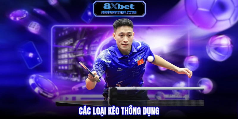 Cá Cược Bóng Bàn 8XBET - Xu Hướng Cược Nhanh, Thắng Lớn Các loại kèo thông dụng